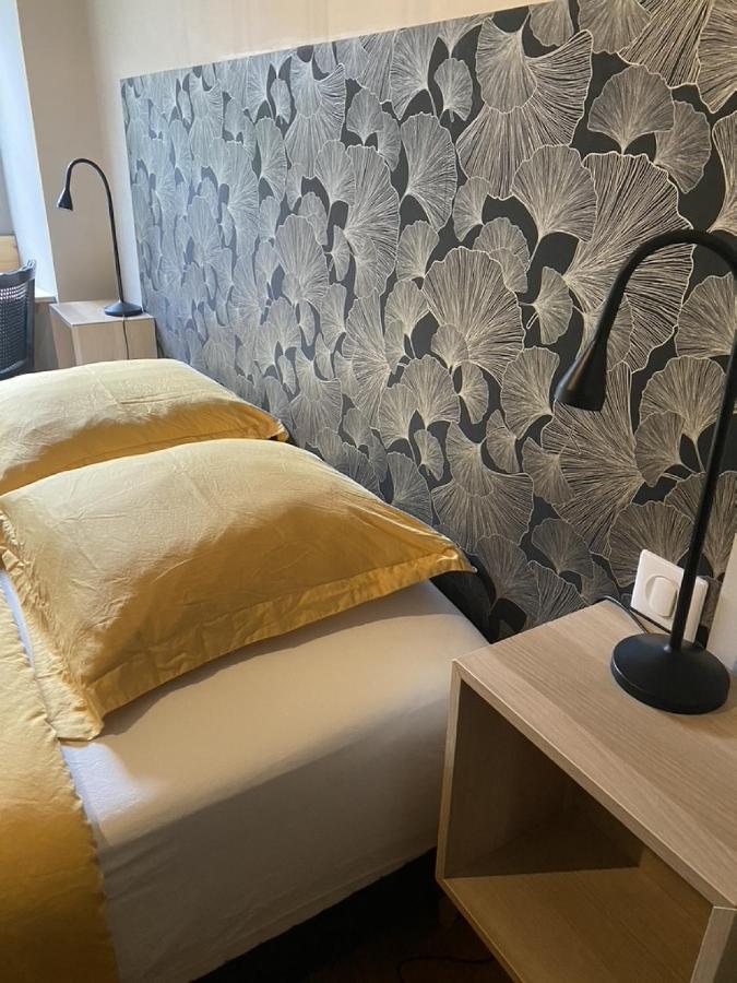 Ginkobiloba : Appartement Cosy En Coeur De Ville Bagnères-de-Bigorre Dış mekan fotoğraf